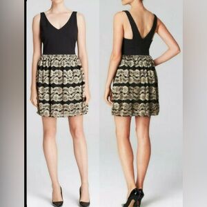 Aqua Black & Gold Lace Fit & Flare Mini Dress – Size Small